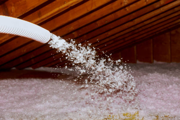 Best Insulation Inspection Services  in Port Republic, NJ