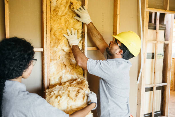 Best Local Insulation Services  in Port Republic, NJ