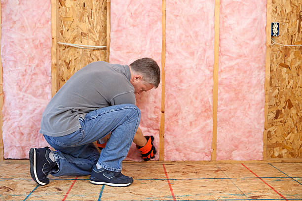 Best Professional Insulation Contractor  in Port Republic, NJ