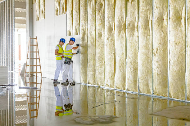 Best Insulation Repair Services  in Port Republic, NJ